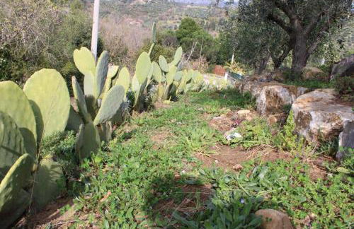 Terra Lenù - Foto 14