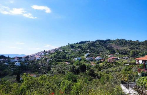 Cozy Mountain View - Foto 15