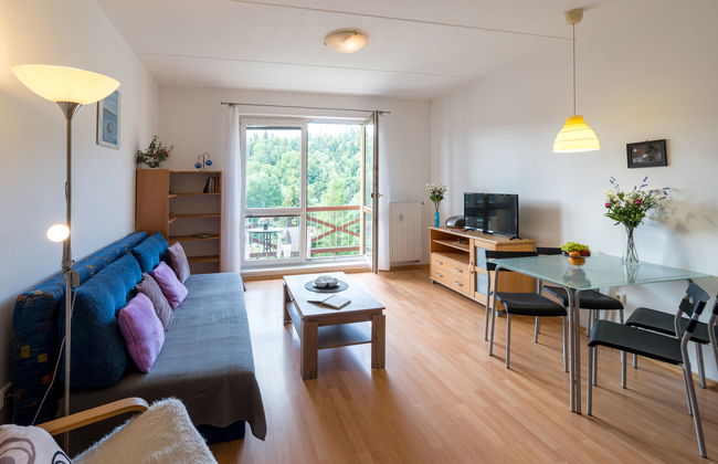 Sluneční stráň IV - Photo 6