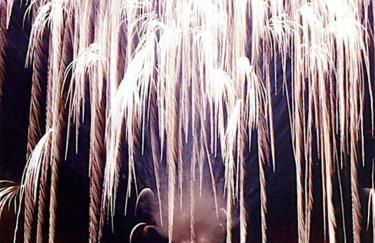 Casa Natura Elx - Foto 31