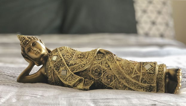 Servizio della camera