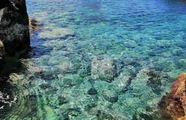 Casa Dos Mosteiros - Foto 35