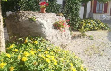 Agriturismo con Cucina tipica Nuova Scardua - Foto 54