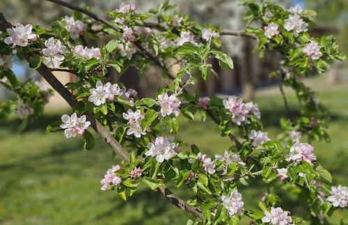 Hof am Meer "Seemöwe" - Foto 22