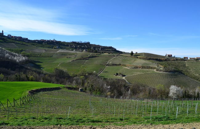 Le Cornici - Cascina di Charme - Foto 28