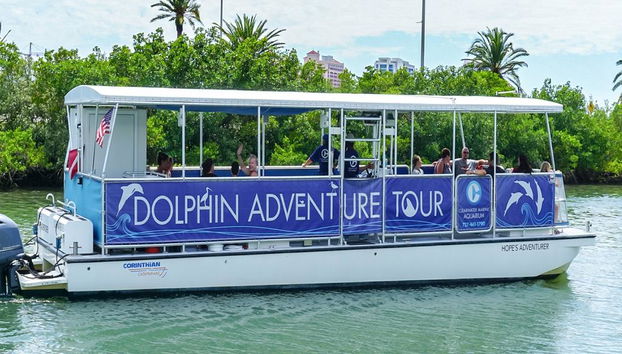 Acuario Clearwater Marine Aquarium - Foto 5