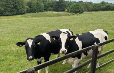 Cherry Blossom Cottage in Kettlesing - Photo 15