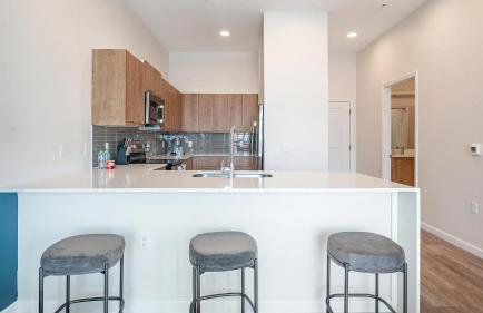Landing Modern 1BD Yoga Studio Clubhouse - Foto 11