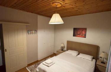 Thanasis house - Photo 11