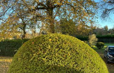 Maison 85 m2 deux chambres - Foto 4