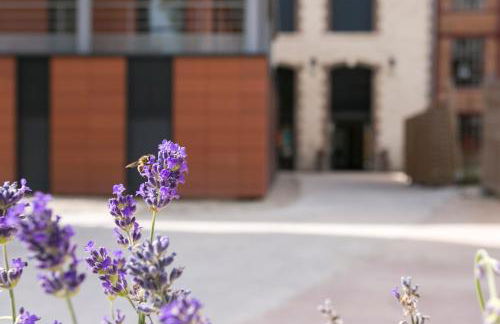 Zenao Appart'hôtels Troyes - Foto 81