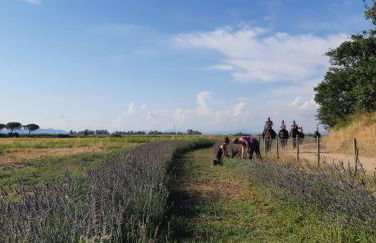 Bio Agriturismo Le Giunchiglie - Foto 6