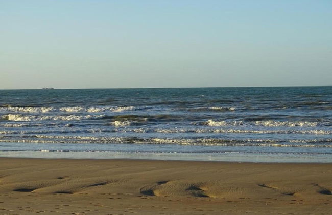 Apartment in Nieuwpoort by the Beach - Photo 31