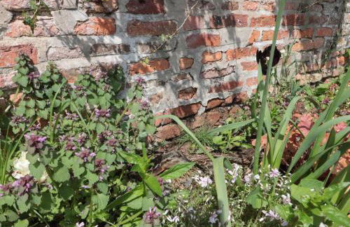 Bailey house - Photo 46