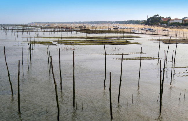 Heritage Mansion on Arcachon Bay - Foto 7