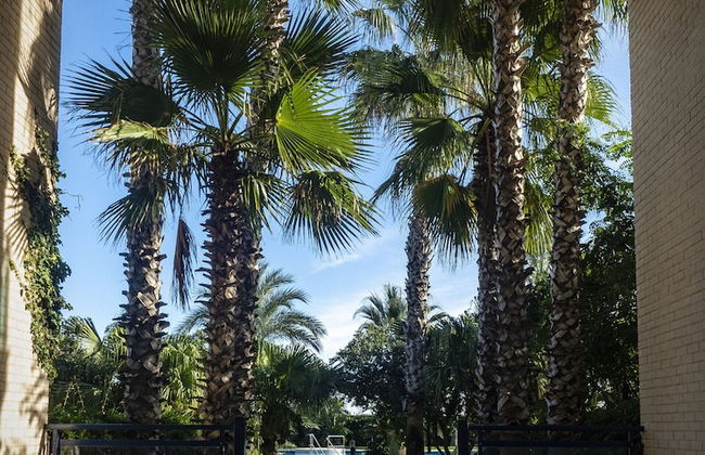 Dorasal Solo Familias Serviplaya - Foto 76