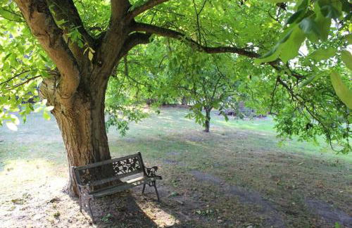 Romantische Ferienwohnung Unter den Linden - Foto 33