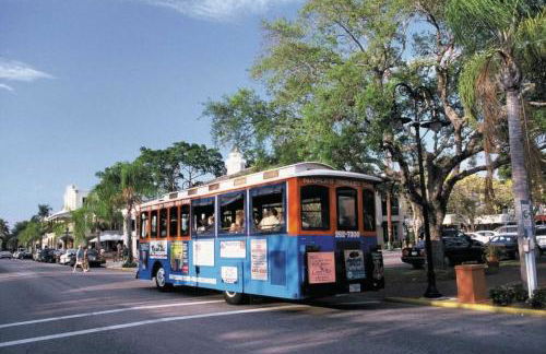 Crown Pointe-Mabry Drive - Photo 47