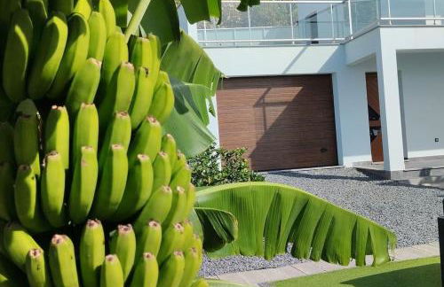 O pomar - A quiet SUNNY place with amazing SEA views - Foto 15