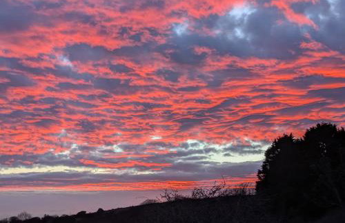 Cober Riverside Retreat - Luxury Barn Apartment in The Heart of Cornwall - Photo 15