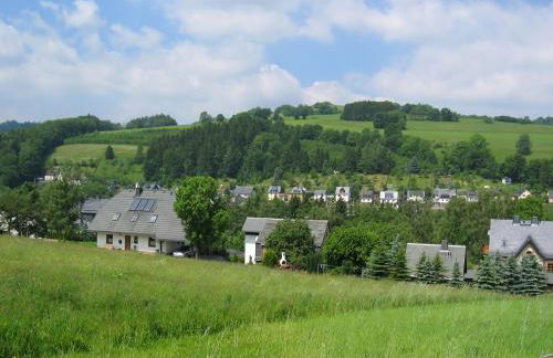 Ferienhaus mit Kamin , Terrasse und Aussensauna - Foto 38