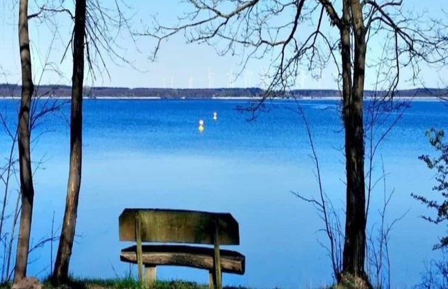 Ferienidyll in Gielow an der Seenplatte - Foto 15