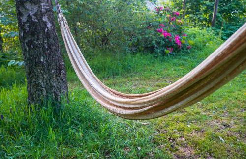 Naturraum - Wellness Oase am Mittelrheintal - Foto 14