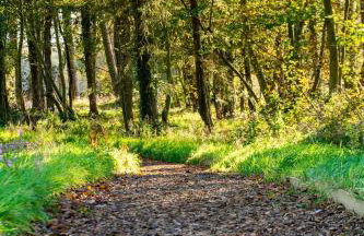 Murmur y Coed - Foto 21