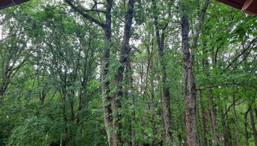 Le Clos de Mesvres - Foto 2