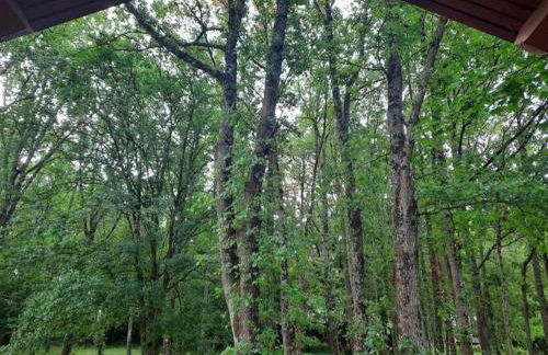 Le Clos de Mesvres - Foto 2