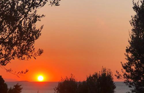 Sterna Suites - Photo 39