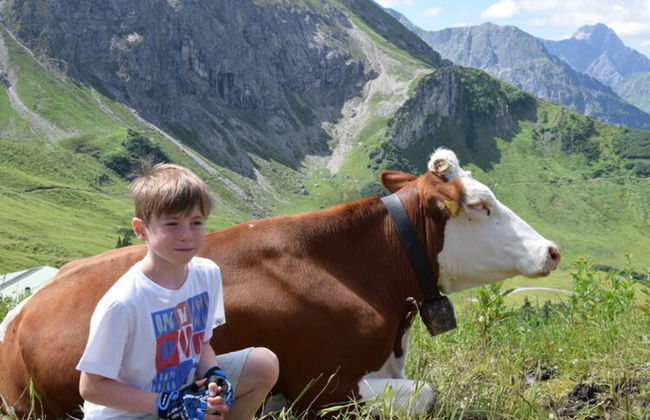 Holiday Apartment Allgauer Alpenblick - Foto 25