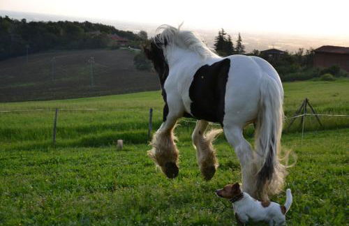 B&B Cà Bianca dell'Abbadessa - Foto 27