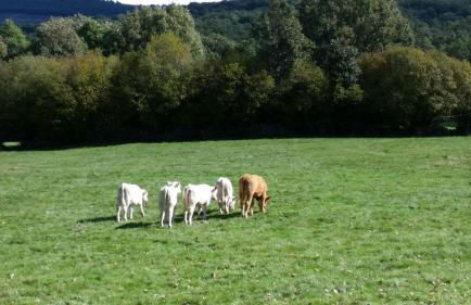 Loboratorio Rural, La Casa de al Lado - Foto 30