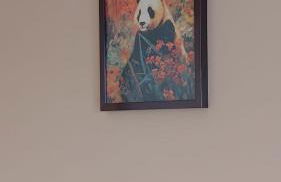 Studio Le Cosy - Foto 36