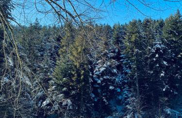 Na Świerkowym Strychu - Photo 2