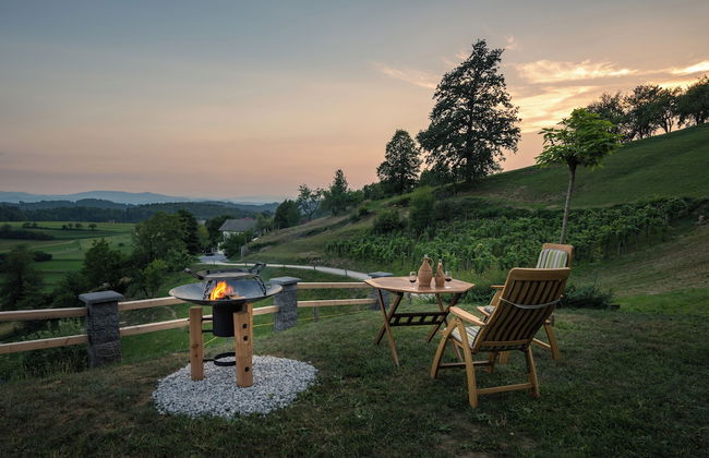 Vineyard Cottage Krivic - Photo 24