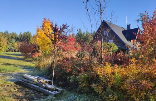 Agroturystyka Zadnie Łuki - Foto 30