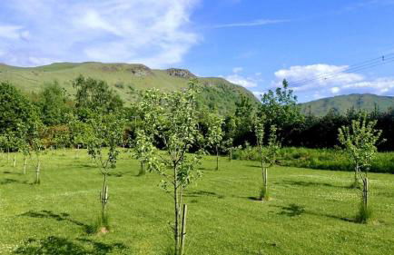 Balbeg Cottage - Photo 43