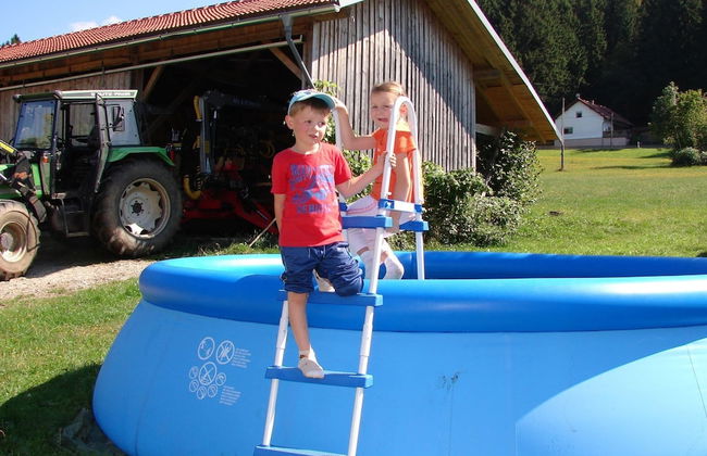 Wohnung in Neukirchen mit Skifahren & Pool - Foto 13