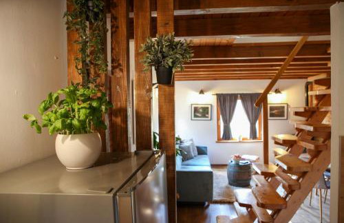 WoodenHouse with two Apartments - Foto 41