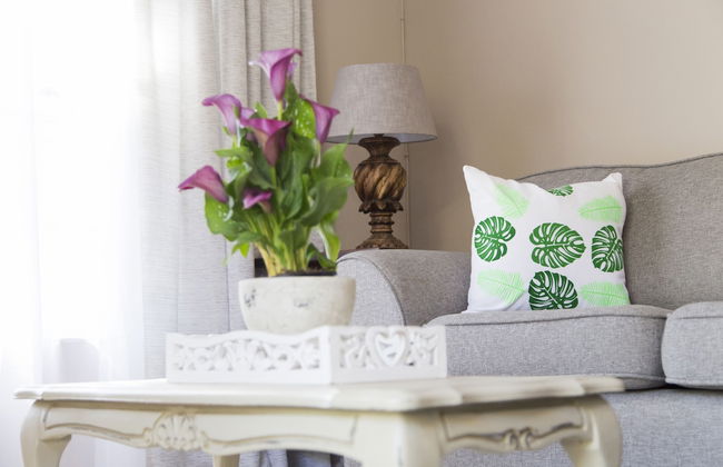 Nehema Manor - Foto 20