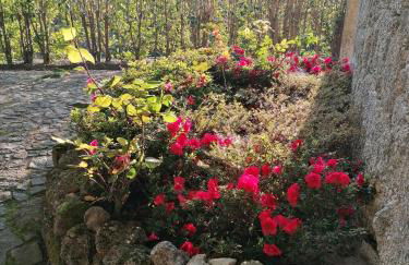 Casa de Férias do Parque da Peneda Gerês - Foto 21