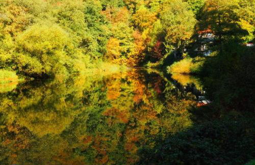 Apartment Chalet Wiedfluh in Waldbreitbach by Interhome - Foto 31