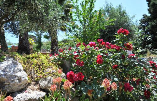 Egesta, villa with private pool - Foto 47