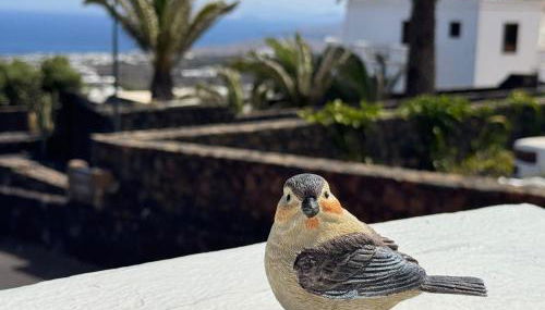 Casa Layka, con maravillosas vistas al mar - Foto 2