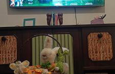 Happy House Beto Carrero - Photo 13