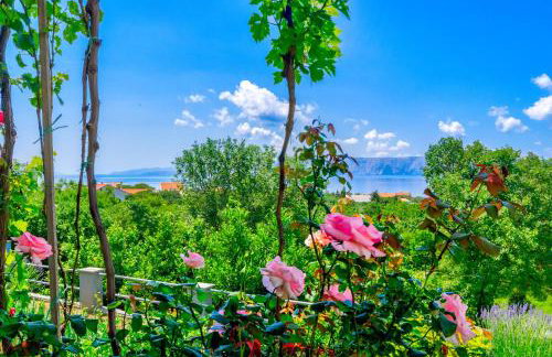 Apartmani Katica - Foto 21