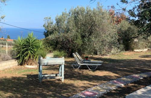 Olive Hill Private House - Foto 50