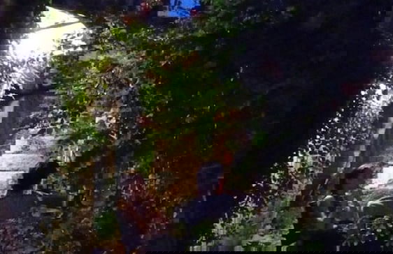 Entire House From the Middle Ages 15th Century - Foto 11